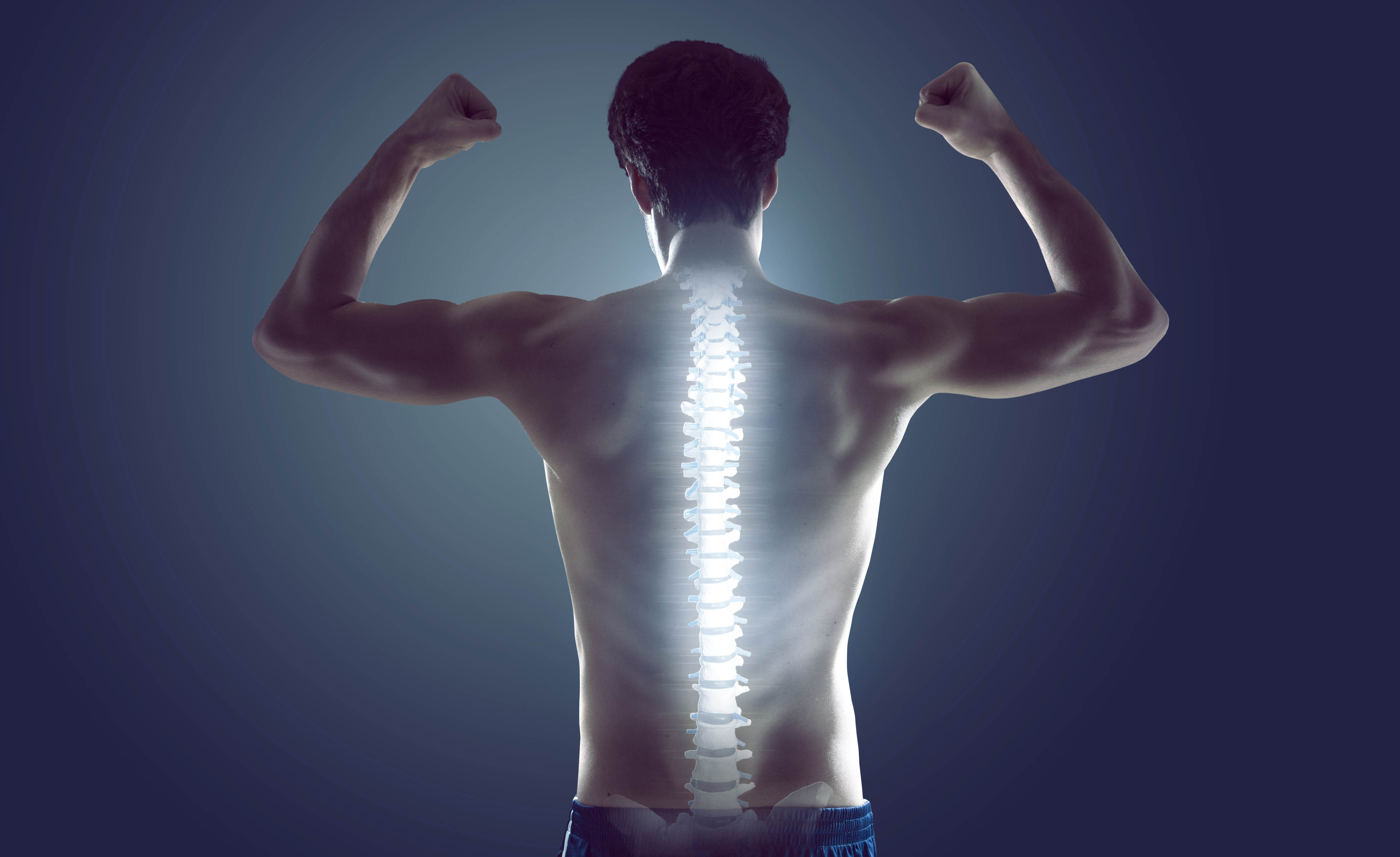 Back of a man flexing, spine is see-through and looks like an xray